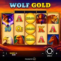 Corgibet - Wolf Gold Slot Game - Pragmatic Play Wildlife Slots